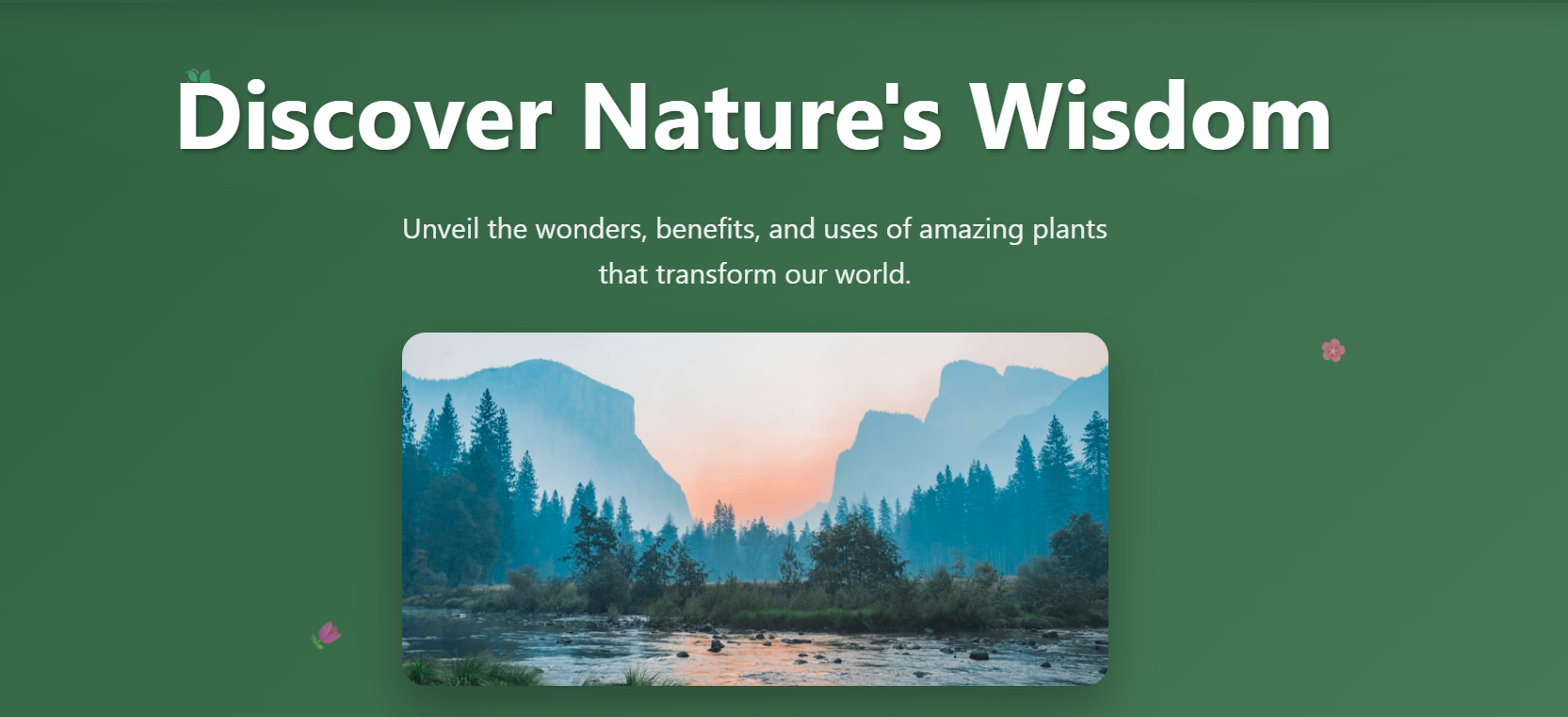 Green Wisdom - Plant Benefits Blog